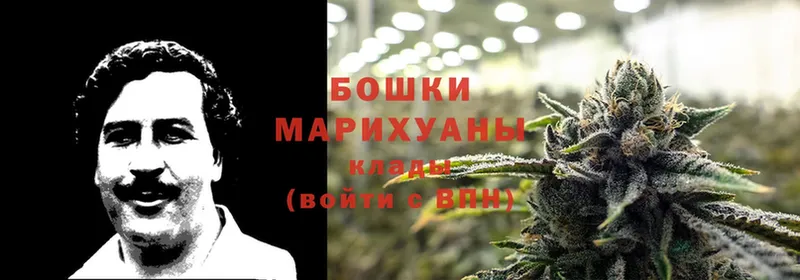 Шишки марихуана THC 21%  Кувшиново 